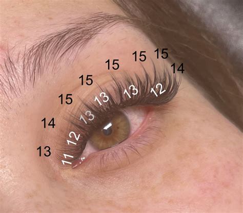 Wispy Hybrid Mapping in 2025 | Whispy lashes, Lashes fake eyelashes, Lashes