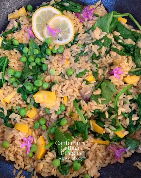 Vegan Lemon Orzo with Spinach and Squash, Gluten-Free – Canterbury ...