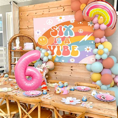 Amazon.com: Roaring Good Time Six Is A Vibe Birthday Party Decorations ...