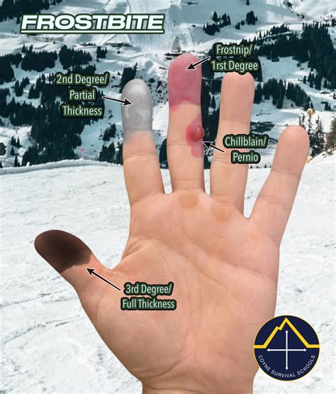 How Long Does It Take To Drive Nova Scotia - Dibujos Cute Para Imprimir