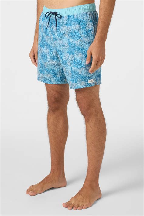Hermosa Elastic Waist 17" Lined Swim Trunks Trunks - Stormy | O'Neill