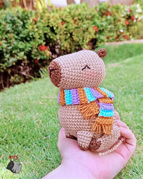 Esmeralda Amis Tejiendo Momentos | Capibara amigurumi! Este amigable y ...