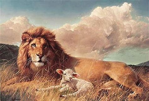 Lion And Lamb Wallpapers - Wallpaper Cave