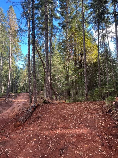 The Real Kind Of Forest Camping - Hipcamp in Camas Valley, Oregon