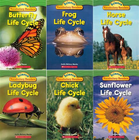 Life Cycles – Set of 6 Books | E&O Montessori