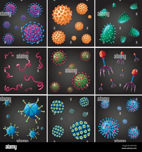 Different types of viruses illustration Stock Vector Image & Art - Alamy