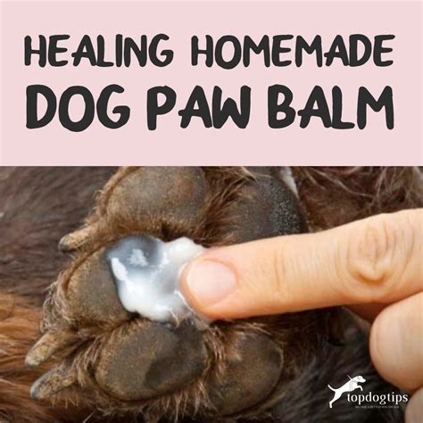 Healing Homemade Dog Paw Balm – Top Dog Tips
