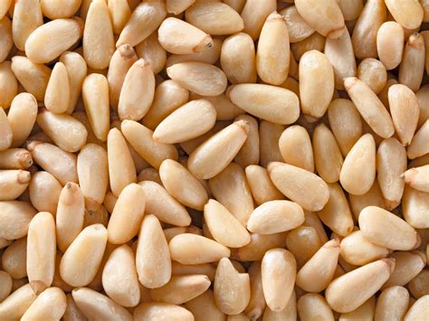 What Are Pine Nuts and Why Are They So Expensive?