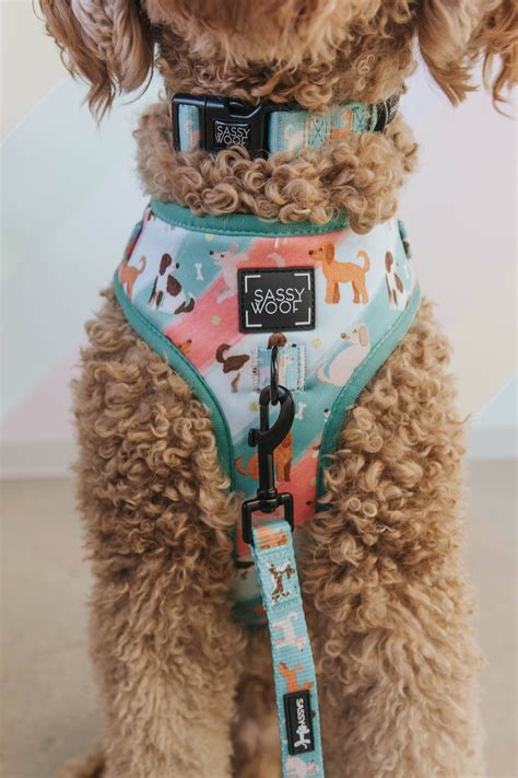 Dog Harness Cute Fabric at Milla Stelzer blog
