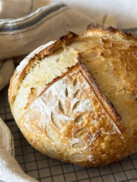 Signs of Overproofed Sourdough Bread (And How to Fix It) - Foragers of Happiness
