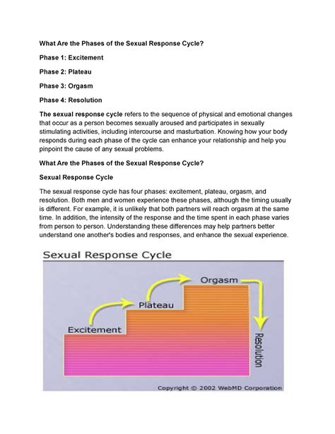 Phases of the Sexual Response Cycle - Knowing how your body responds during each phase of the ...