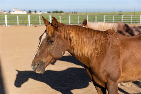 Colorado Treatment Center Photo Gallery | The Raleigh House