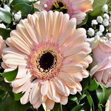 Sybrand "Randy" Vander Dussen Obituary (1956-2025) | Clovis, NM