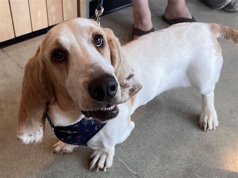 | Sep 23 |H| Sep 23 |a| Sep 23 |m| Sep 23 |i| Sep 23 |l| Sep 23 |t| Sep ...