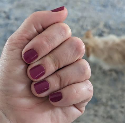 Port-u-gal : r/colorstreet