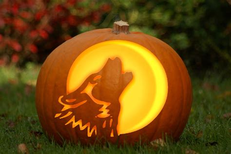 Wolf Jack-O-Lanterns | Pumpkin carving, Halloween pumpkins, Halloween ...