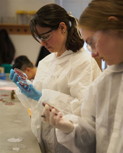 🌟Course Spotlight: BMS 740 Human Microbiome Explore the human ...