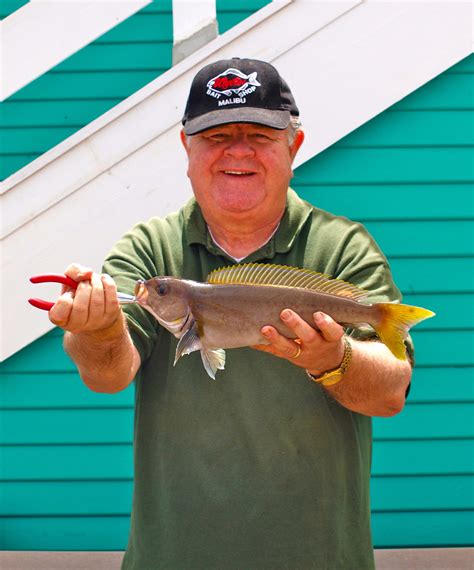 Examples Of Whitefish