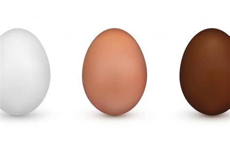 Brown vs. White Eggs - Backyard Poultry