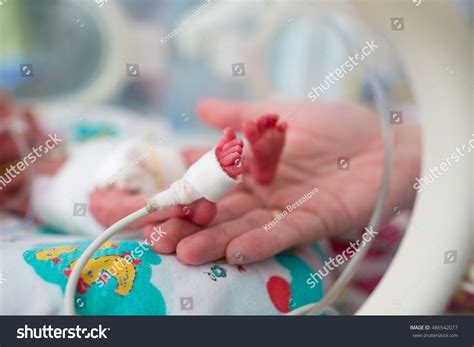 Neonatal Infant Pulse Oximeter Premature Babies Stock Photo (Edit Now ...