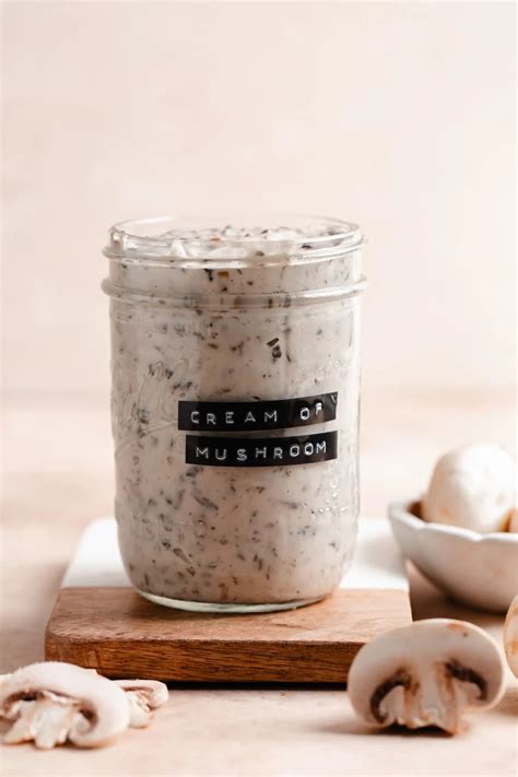 Soup Cream of Mushroom Substitute | Aileen Bolmer | Copy Me That