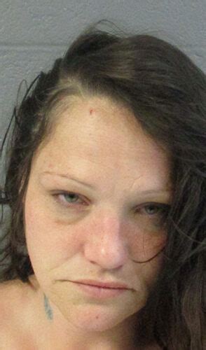 Local woman facing two felony charges | News, Sports, Jobs - The ...