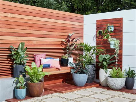 Outdoor Container Plants Hardy