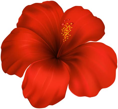 Free Hibiscus Flower Clipart