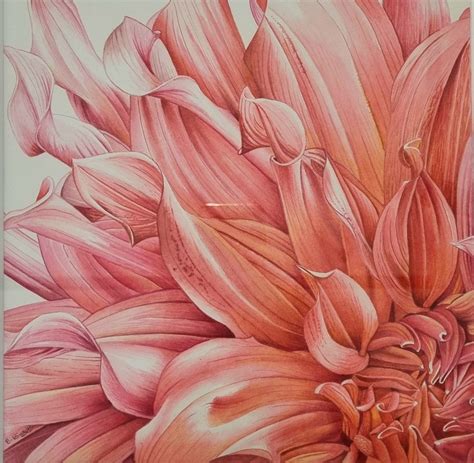 Gorgeous Little Dahlia - KAB Gallery