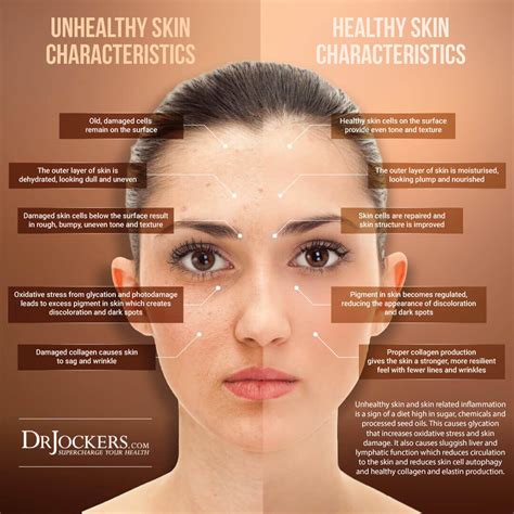 Facial Wrinkles: Root Causes and Natural Support Strategies