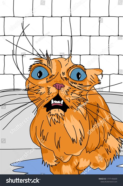 Funny Angry Cat Drawing Having Bath: ภาพประกอบสต็อก 1777145609 ...