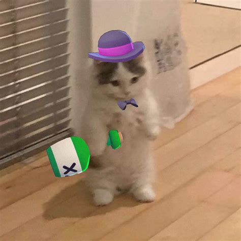 Standing cat meme - Barley : r/Brawlstars