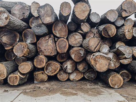 Why Winter May Be Ideal for Your Timber Harvest