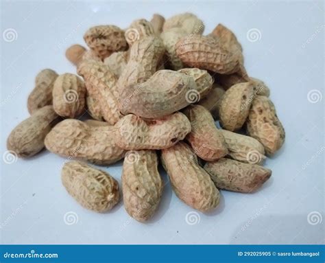 Peanuts Eating With Shell at Skye Clarey blog