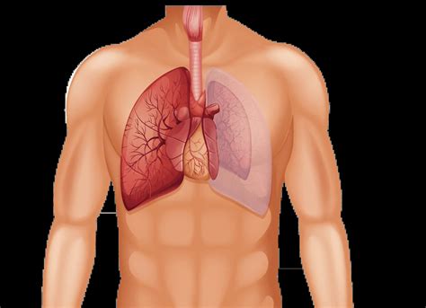 The risks of Dry needling and how to avoid them - Physioverse Academy