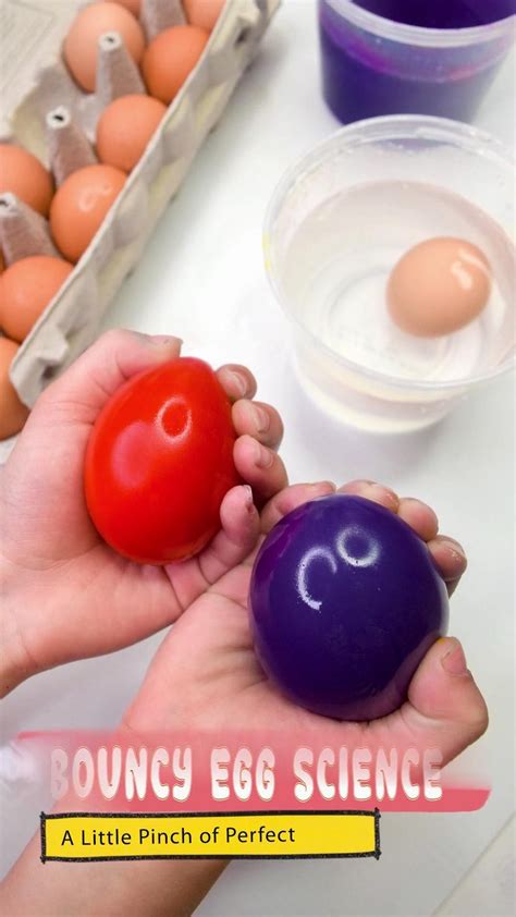 The great bouncy egg science experiment a little pinch of perfect – Artofit