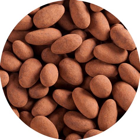 Albanese Milk Chocolate Cocoa Dusted Almonds | Albanese World's Best ...