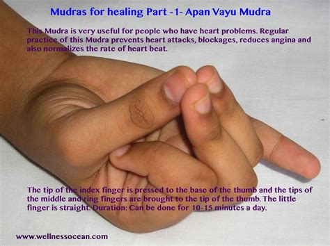 Apan Vayu Mudra for the heart | Mudras, Mudras for healing, Vayu mudra