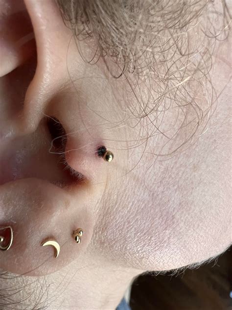 Is my third lobe piercing too low? Obviously my lobes are thin but the ...
