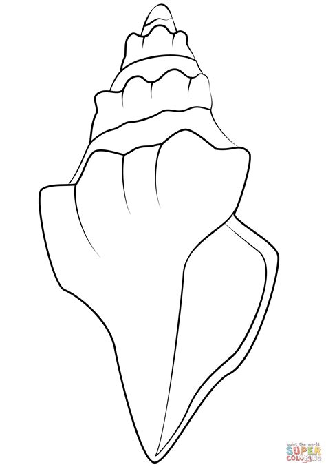 Seashell Coloring Pages