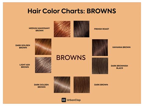 Light Chestnut Brown Hair Color Chart - Minimalist Chart Design