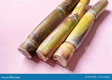 Sugar Cane Stick on Pink Background Stock Photo - Image of culinary ...