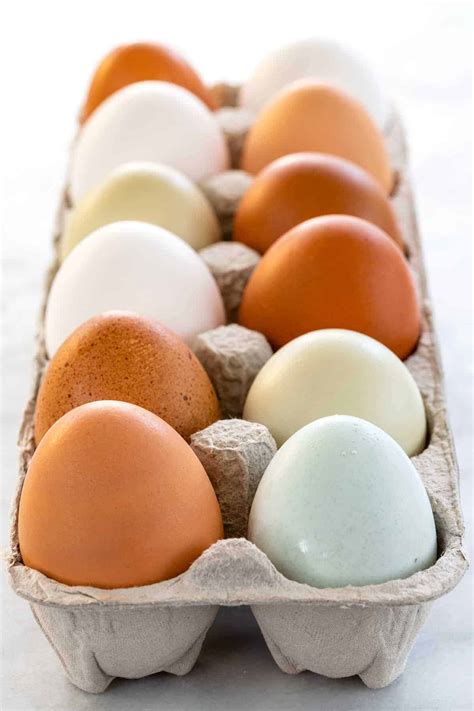 The Different Types of Eggs & Sizes - Jessica Gavin