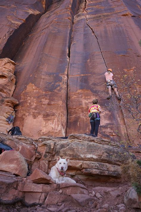 Indian Creek Crack Climbing - San Juan Expeditions