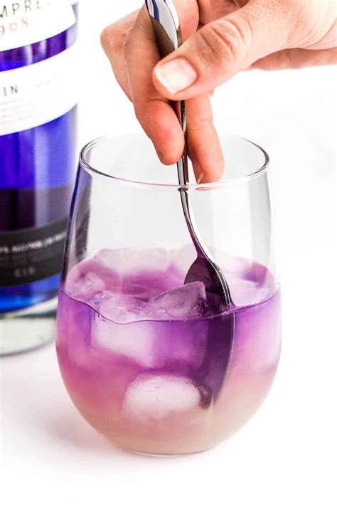 What to Know about Purple Gin and Empress Gin | Feast + West