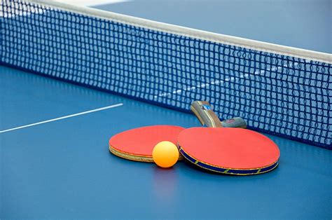 Everything about Table Tennis