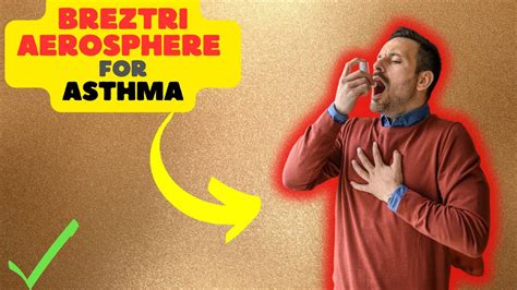 How Breztri Aerosphere Is Reshaping the Future: Breathing New Life into ...