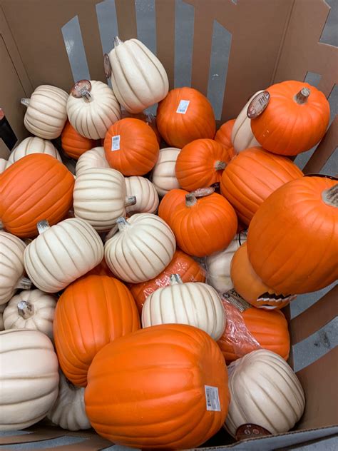 Lowes Drug Screening - Surveys Hyatt