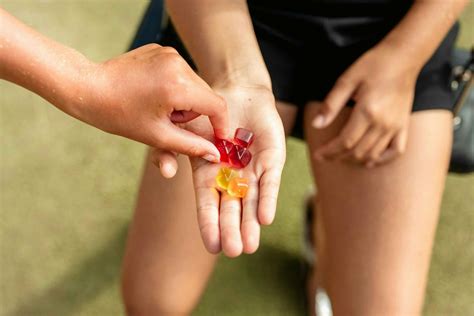 Can You Travel With Edibles in a Checked Bag? TSA Rules for 2025 | Herb