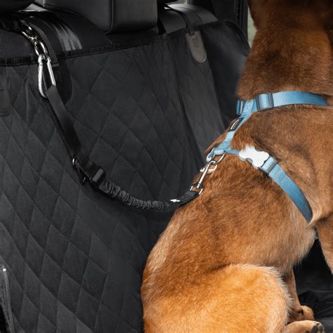 2-in-1 Dog Car Safety Restraint – APAWLO Pets